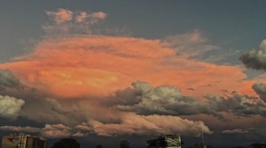 Processed with VSCO with m3 preset